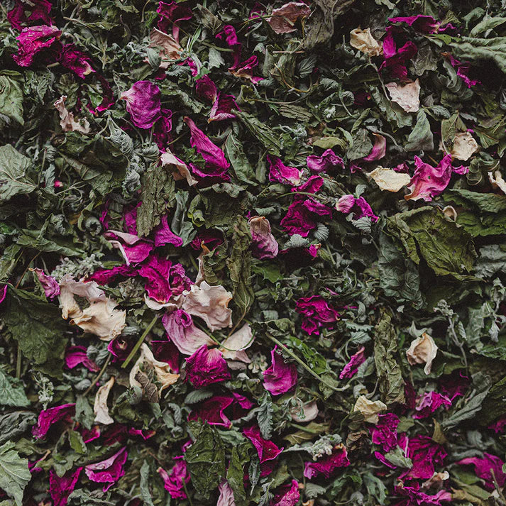 Tisane Calme - Détente & digestion - Les effeuilleuses