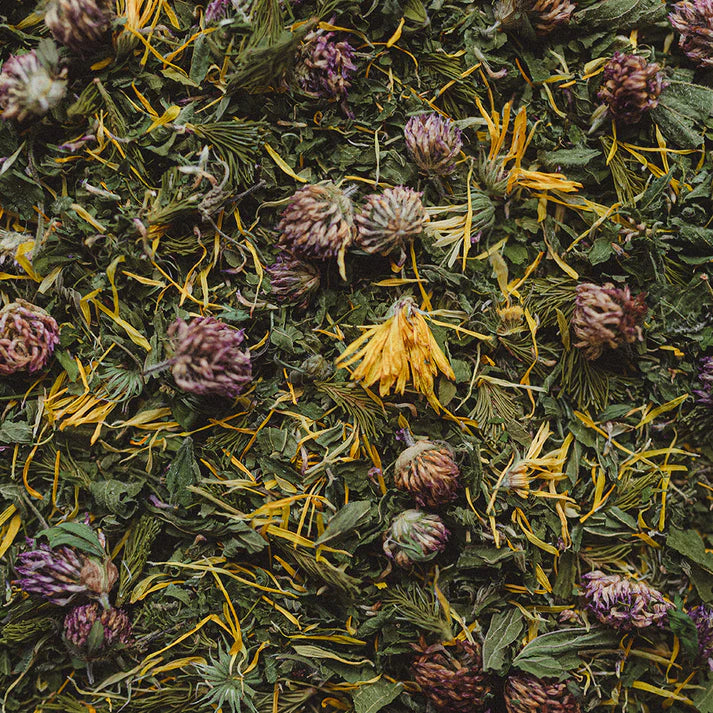 Tisane Force - Soutien & vigueur - Les Effeuilleuses