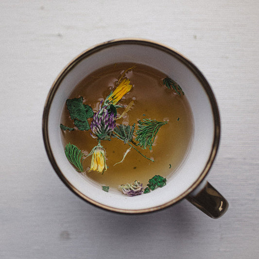 Tisane Force - Soutien & vigueur - Les Effeuilleuses